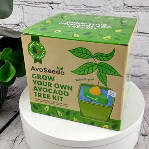 AvoSeedo, pot & saucer. Avocado tree seed growing kit, organic